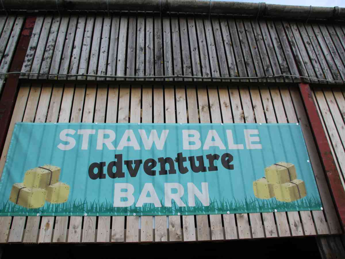 Tapnell Farm Park picture gallery